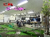P1010280(w).jpg