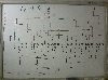 P1010973(w).jpg