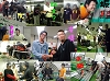 集合(w).jpg