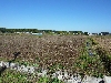 P1000640(w).jpg