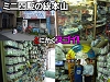 えのもと(w).jpg