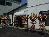 IMGP8173(w).jpg