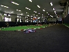 IMGP8219(w).jpg